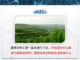 人教版 (新課標(biāo))高中生物必修3 4-4《群落的演替》課件