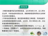 人教版 (新課標(biāo))高中生物必修3 第4章《種群和群落》總結(jié)復(fù)習(xí)課件