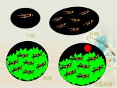 人教版 (新課標(biāo))高中生物必修3 5-1《生態(tài)系統(tǒng)的結(jié)構(gòu)》課件
