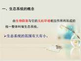 人教版 (新課標(biāo))高中生物必修3 5-1《生態(tài)系統(tǒng)的結(jié)構(gòu)》課件