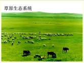 人教版 (新課標(biāo))高中生物必修3 5-1《生態(tài)系統(tǒng)的結(jié)構(gòu)》課件