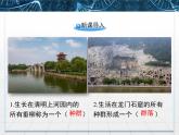 人教版 (新課標(biāo))高中生物必修3 5-1《生態(tài)系統(tǒng)的結(jié)構(gòu)》課件