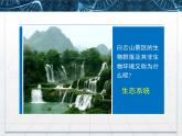 人教版 (新課標(biāo))高中生物必修3 5-1《生態(tài)系統(tǒng)的結(jié)構(gòu)》課件