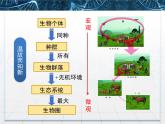 人教版 (新課標(biāo))高中生物必修3 5-1《生態(tài)系統(tǒng)的結(jié)構(gòu)》課件