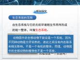 人教版 (新課標(biāo))高中生物必修3 5-1《生態(tài)系統(tǒng)的結(jié)構(gòu)》課件