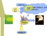 人教版 (新課標(biāo))高中生物必修3 5-2《生態(tài)系統(tǒng)的能量流動》（第1課時）課件