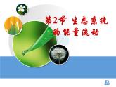 人教版 (新課標(biāo))高中生物必修3 5-2《生態(tài)系統(tǒng)的能量流動》課件