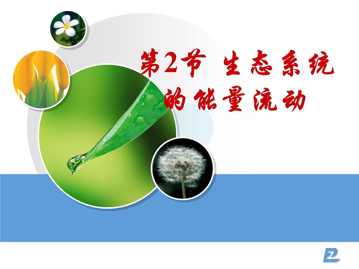 人教版 (新课标)高中生物必修3 5-2《生态系统的能量流动》课件第2页