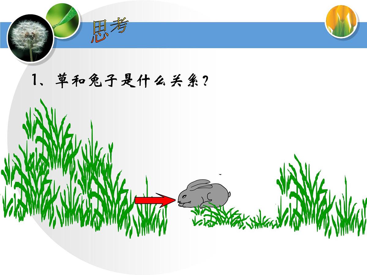 人教版 (新课标)高中生物必修3 5-2《生态系统的能量流动》课件第4页