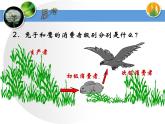 人教版 (新課標(biāo))高中生物必修3 5-2《生態(tài)系統(tǒng)的能量流動》課件