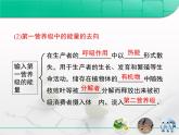 人教版 (新課標(biāo))高中生物必修3 5-2《生態(tài)系統(tǒng)的能量流動》課件