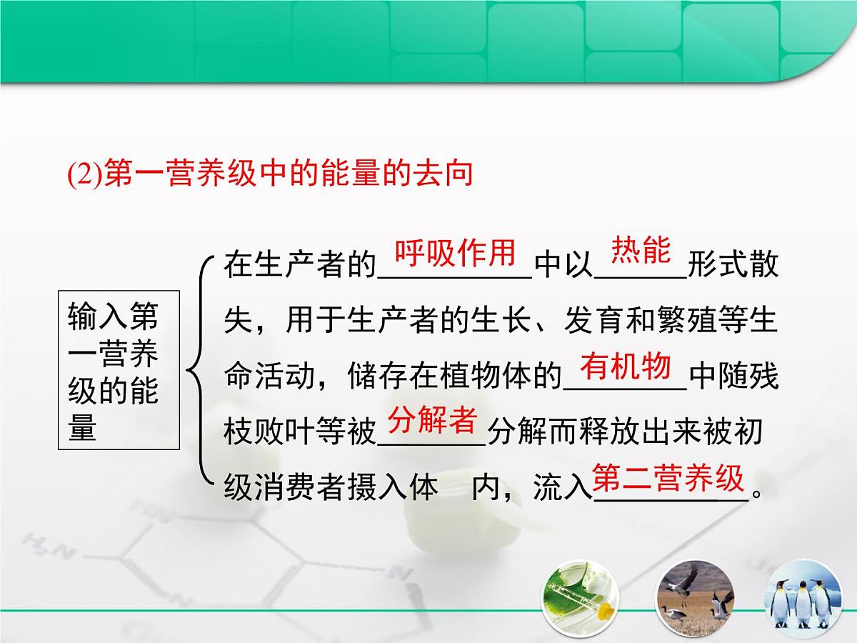 人教版 (新课标)高中生物必修3 5-2《生态系统的能量流动》课件第5页