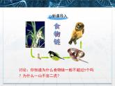 人教版 (新課標(biāo))高中生物必修3 5-2《生態(tài)系統(tǒng)的能量流動》課件