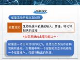 人教版 (新課標(biāo))高中生物必修3 5-2《生態(tài)系統(tǒng)的能量流動》課件