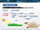 人教版 (新課標(biāo))高中生物必修3 5-2《生態(tài)系統(tǒng)的能量流動》課件