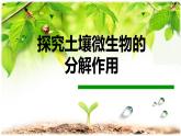 人教版 (新課標)高中生物必修3 5-3《生態(tài)系統(tǒng)的物質(zhì)循環(huán)》（第2課時）課件