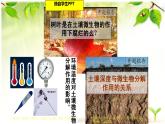 人教版 (新課標)高中生物必修3 5-3《生態(tài)系統(tǒng)的物質(zhì)循環(huán)》（第2課時）課件