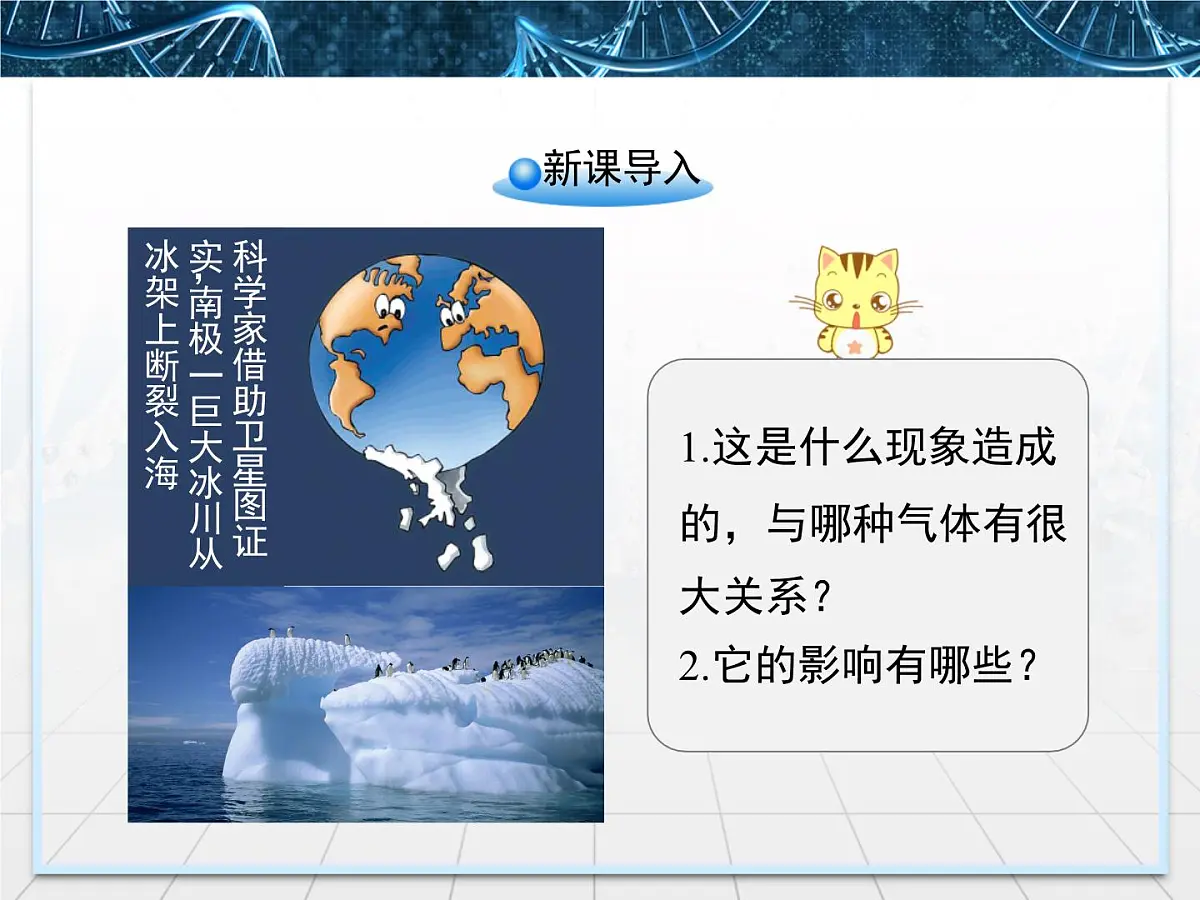 人教版 (新课标)高中生物必修3 5-3《生态系统的物质循环》课件第2页