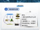 人教版 (新課標)高中生物必修3 5-3《生態(tài)系統(tǒng)的物質(zhì)循環(huán)》課件