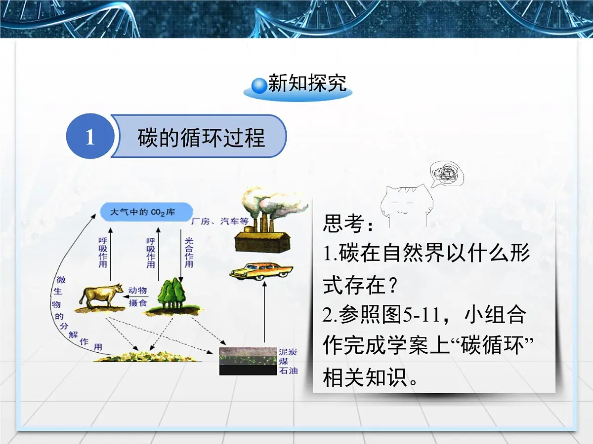 人教版 (新课标)高中生物必修3 5-3《生态系统的物质循环》课件第4页