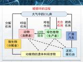 人教版 (新課標)高中生物必修3 5-3《生態(tài)系統(tǒng)的物質(zhì)循環(huán)》課件