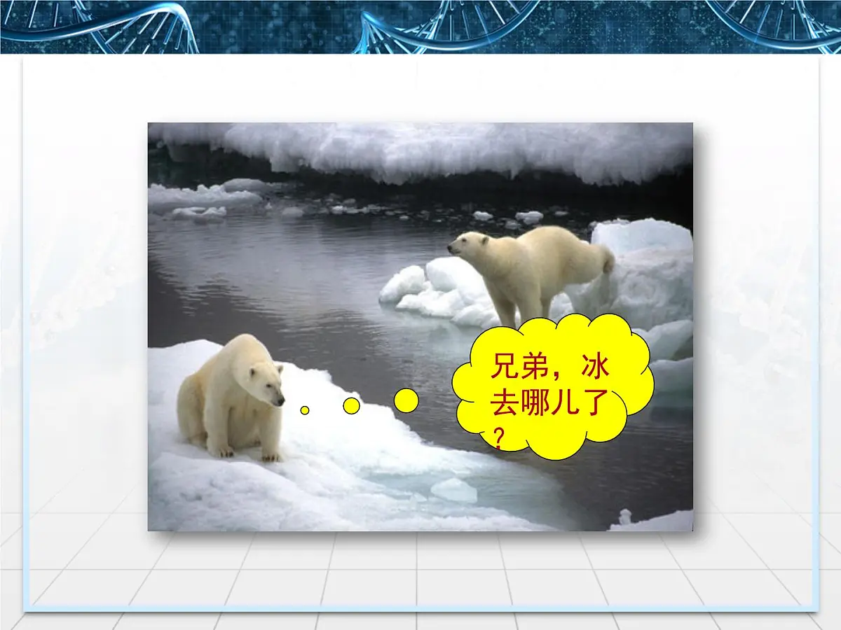 人教版 (新课标)高中生物必修3 5-3《生态系统的物质循环》课件第7页