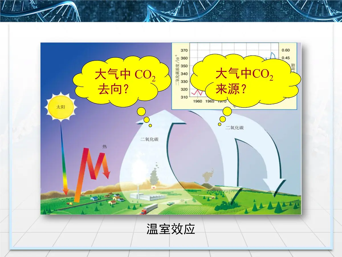 人教版 (新课标)高中生物必修3 5-3《生态系统的物质循环》课件第8页