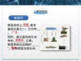 人教版 (新課標)高中生物必修3 5-3《生態(tài)系統(tǒng)的物質(zhì)循環(huán)》課件