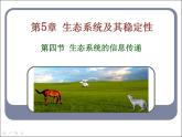 人教版 (新課標)高中生物必修3 5-4《生態(tài)系統(tǒng)的信息傳遞》課件