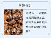 人教版 (新課標)高中生物必修3 5-4《生態(tài)系統(tǒng)的信息傳遞》課件