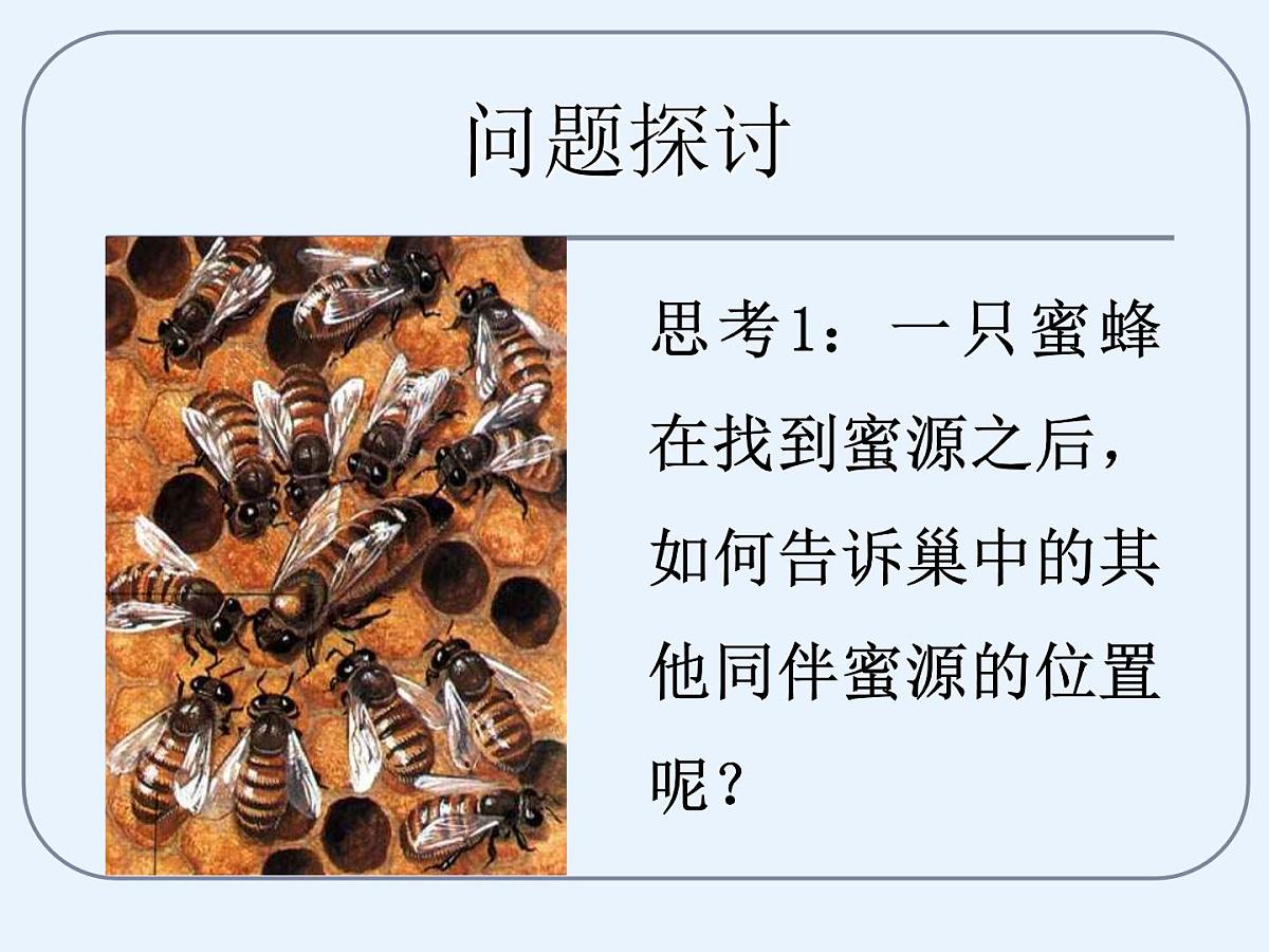 人教版 (新课标)高中生物必修3 5-4《生态系统的信息传递》课件第3页