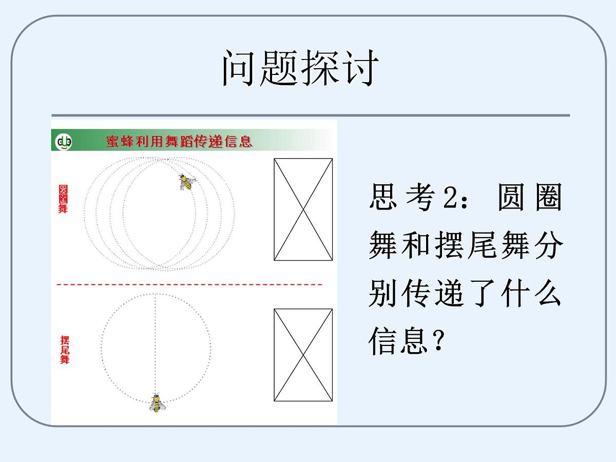 人教版 (新课标)高中生物必修3 5-4《生态系统的信息传递》课件第4页
