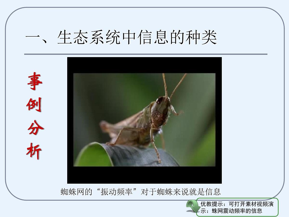 人教版 (新课标)高中生物必修3 5-4《生态系统的信息传递》课件第6页