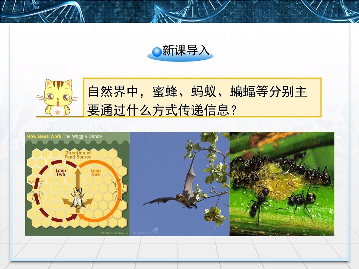 人教版 (新课标)高中生物必修3 5-4《生态系统的信息传递》课件第2页