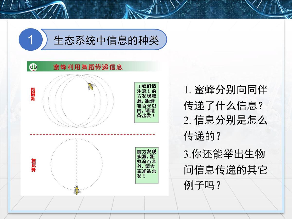 人教版 (新课标)高中生物必修3 5-4《生态系统的信息传递》课件第5页