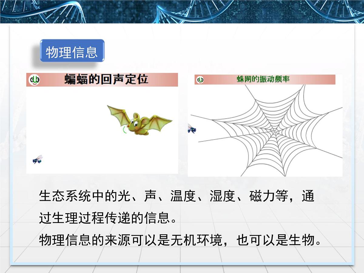 人教版 (新课标)高中生物必修3 5-4《生态系统的信息传递》课件第6页