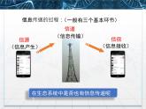 人教版 (新課標)高中生物必修3 5-4《生態(tài)系統(tǒng)的信息傳遞》課件