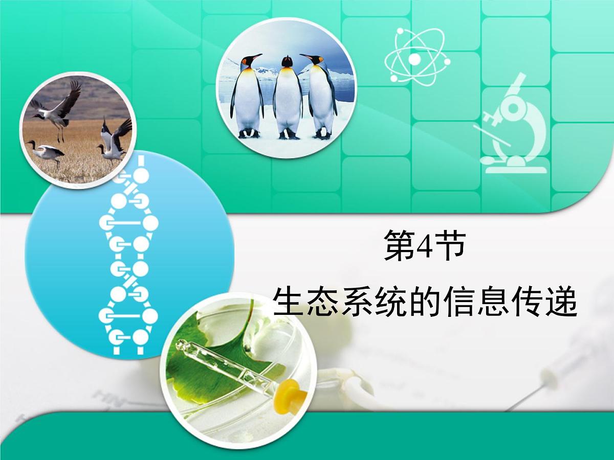 人教版 (新课标)高中生物必修3 5-4《生态系统的信息传递》复习课件第1页