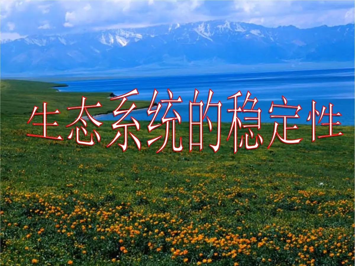 人教版 (新课标)高中生物必修3 5-5《生态系统的稳定性》课件第1页