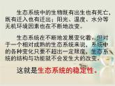 人教版 (新課標(biāo))高中生物必修3 5-5《生態(tài)系統(tǒng)的穩(wěn)定性》課件