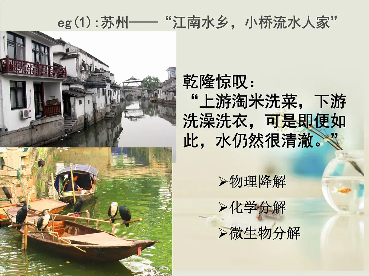 人教版 (新课标)高中生物必修3 5-5《生态系统的稳定性》课件第4页