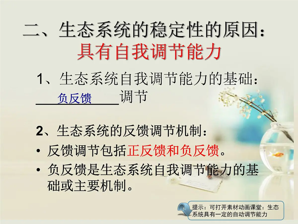 人教版 (新课标)高中生物必修3 5-5《生态系统的稳定性》课件第6页