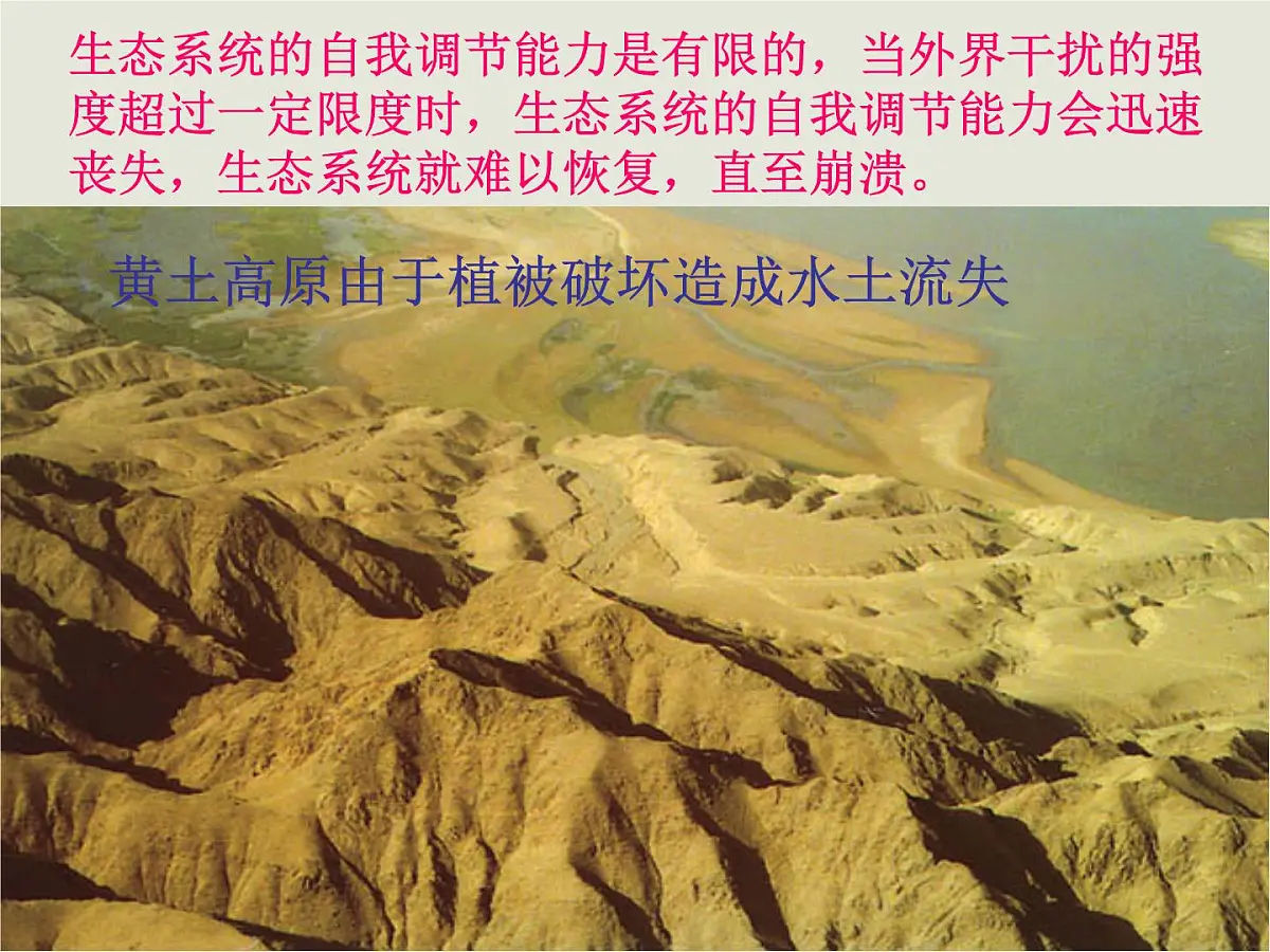 人教版 (新课标)高中生物必修3 5-5《生态系统的稳定性》课件第8页