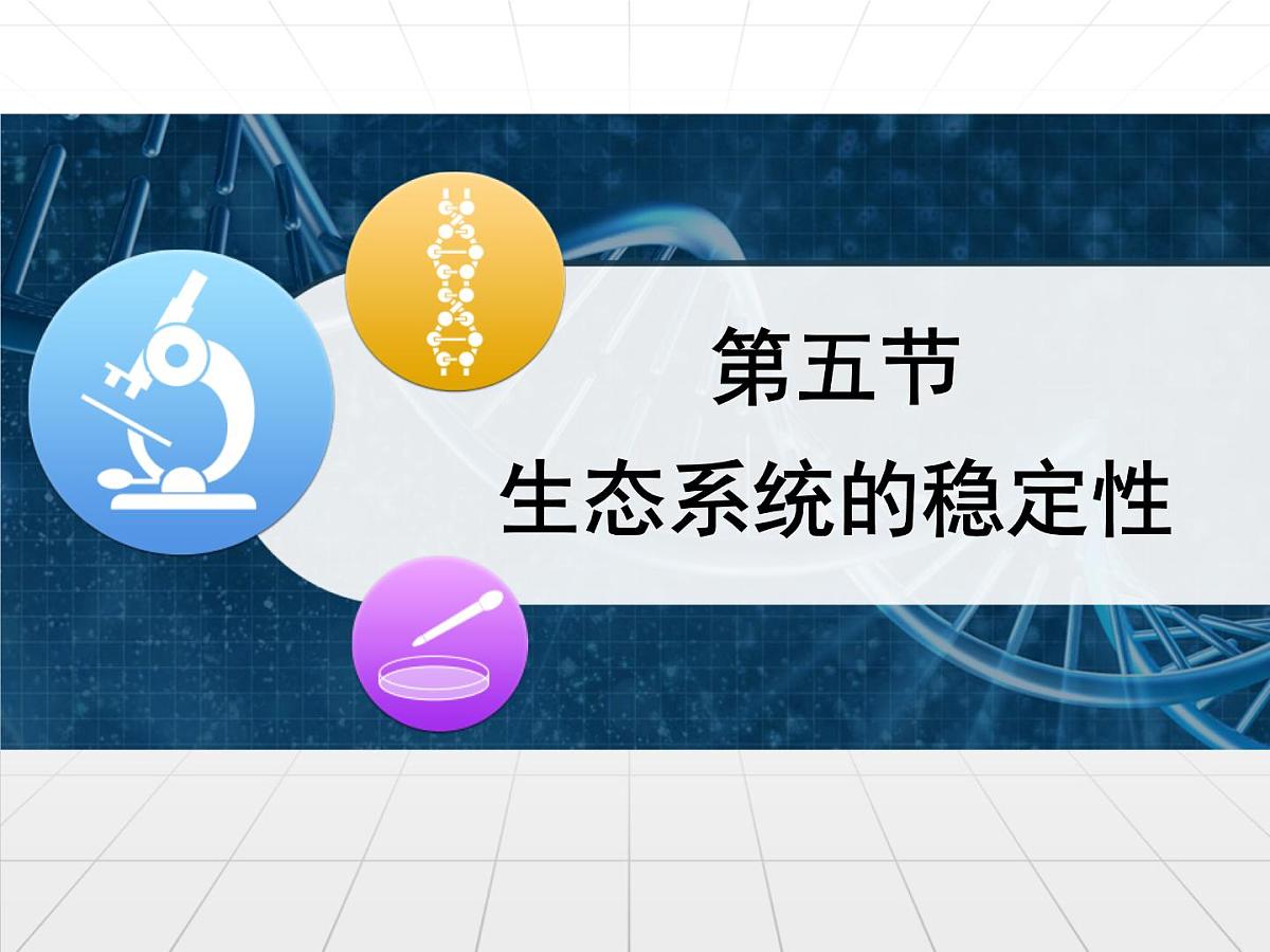 人教版 (新课标)高中生物必修3 5-5《生态系统的稳定性》名校课件第1页