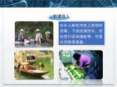 人教版 (新課標(biāo))高中生物必修3 5-5《生態(tài)系統(tǒng)的穩(wěn)定性》名校課件
