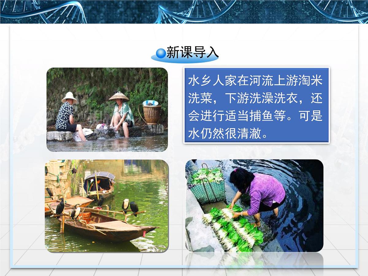 人教版 (新课标)高中生物必修3 5-5《生态系统的稳定性》名校课件第2页