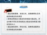 人教版 (新課標(biāo))高中生物必修3 5-5《生態(tài)系統(tǒng)的穩(wěn)定性》名校課件