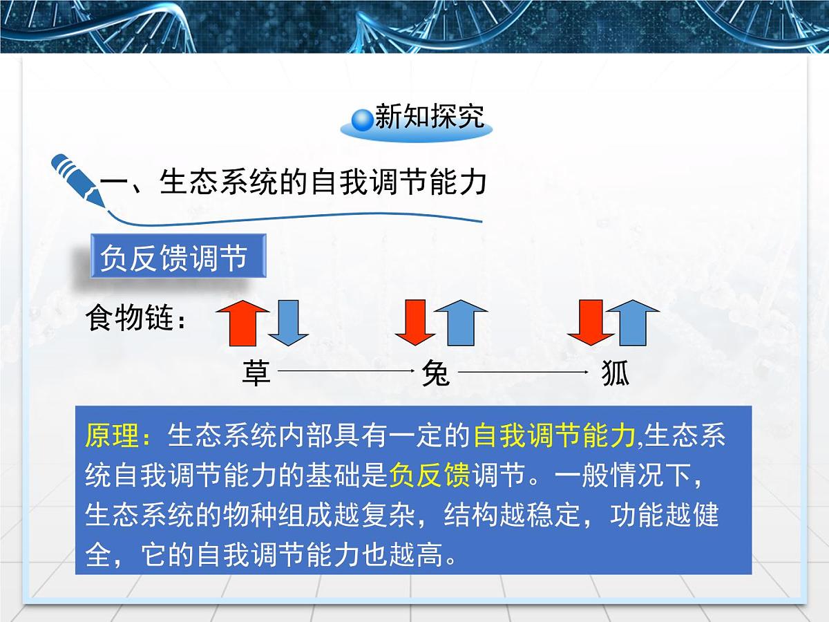 人教版 (新课标)高中生物必修3 5-5《生态系统的稳定性》名校课件第6页