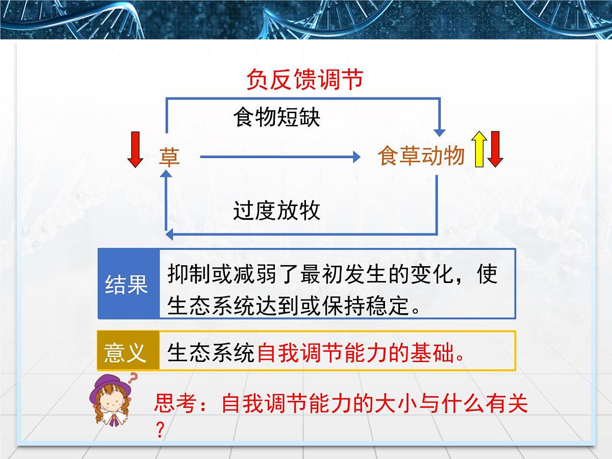 人教版 (新课标)高中生物必修3 5-5《生态系统的稳定性》名校课件第7页