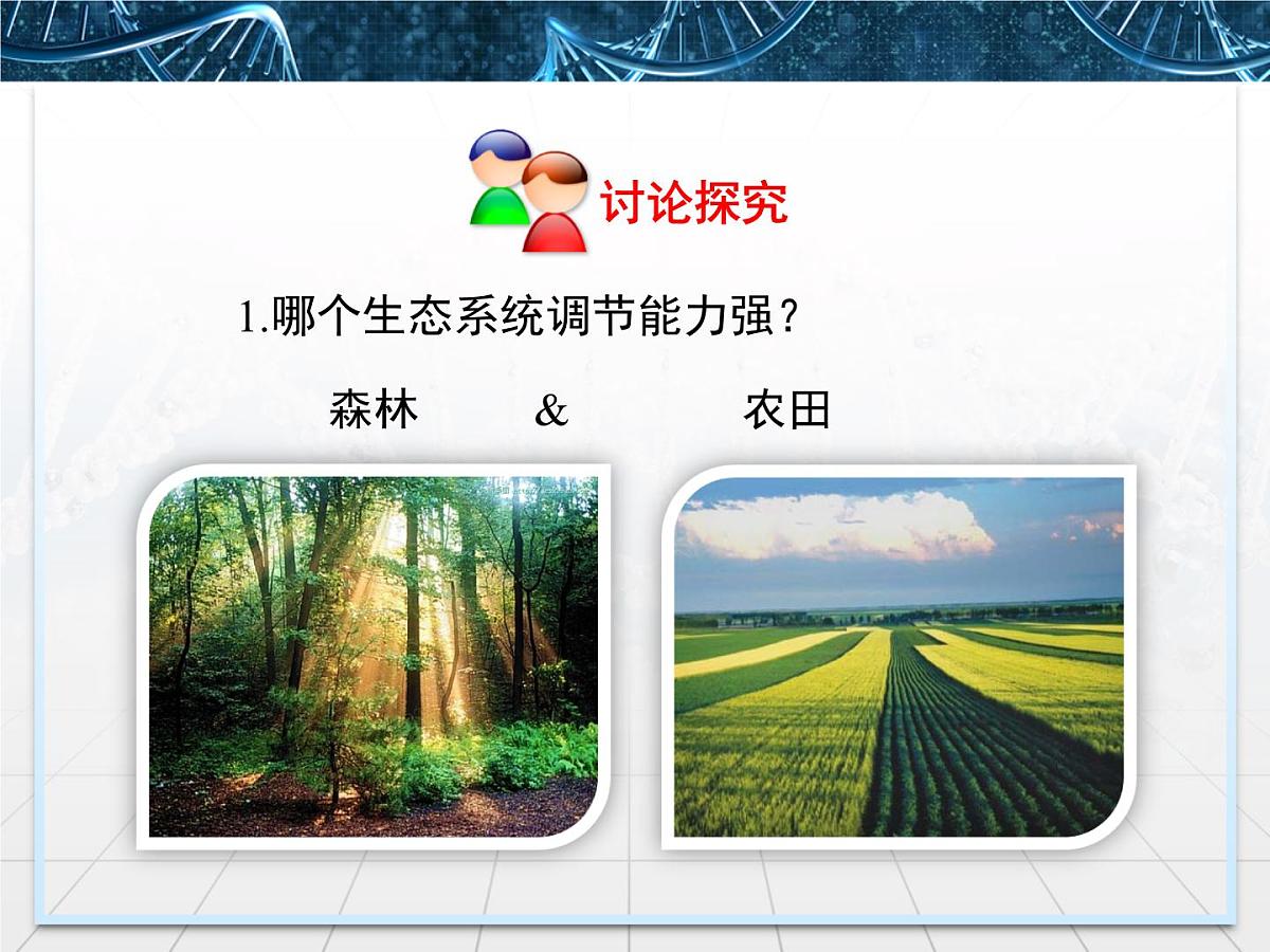 人教版 (新课标)高中生物必修3 5-5《生态系统的稳定性》名校课件第8页